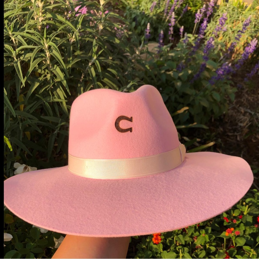 Pink Charlie Horse Hat